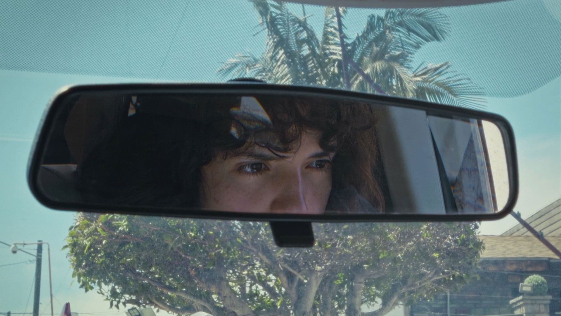 El Alma de la Fiesta