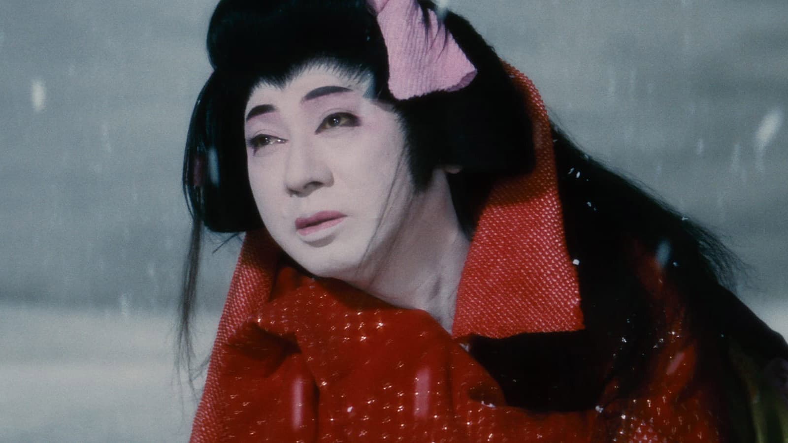 어느 배우의 복수