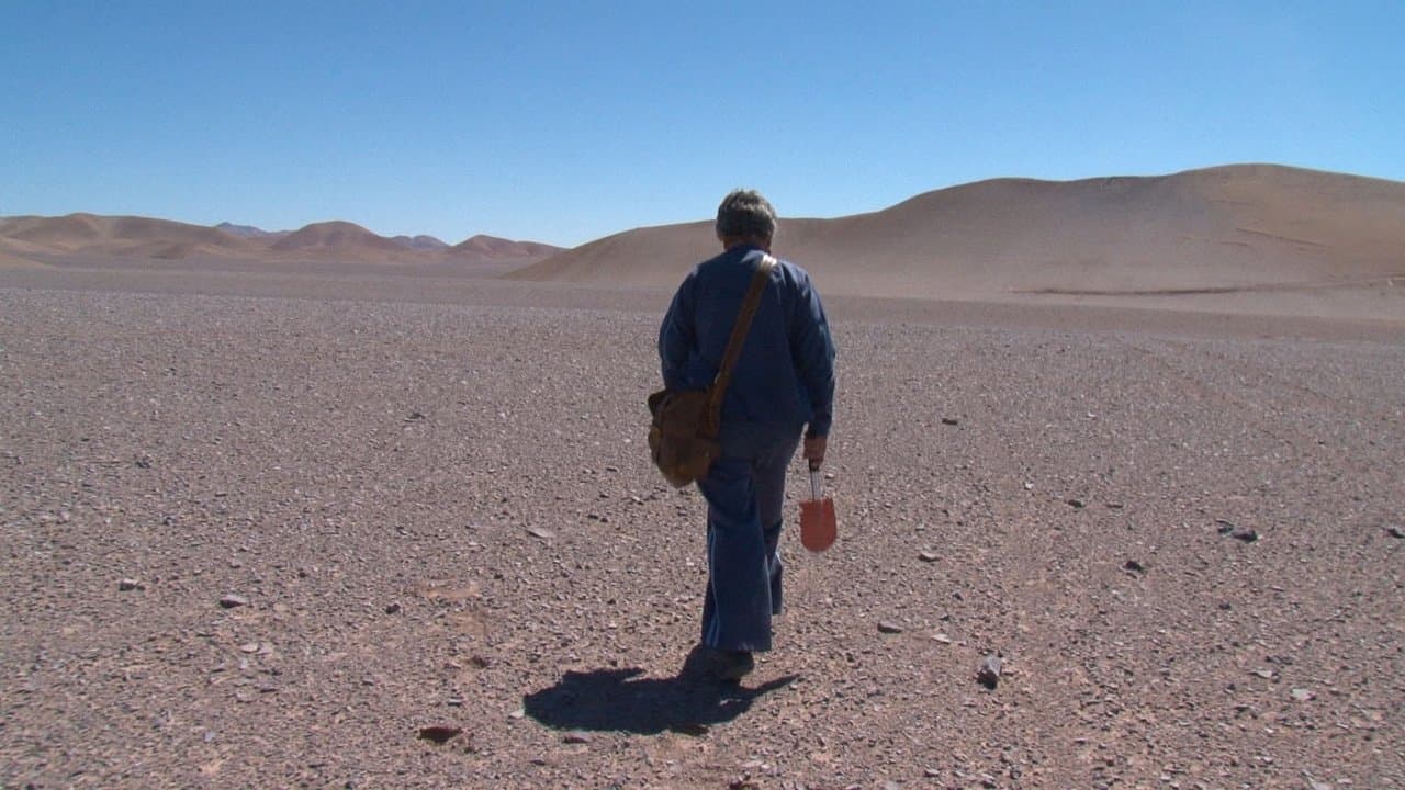 빛을 향한 그리움