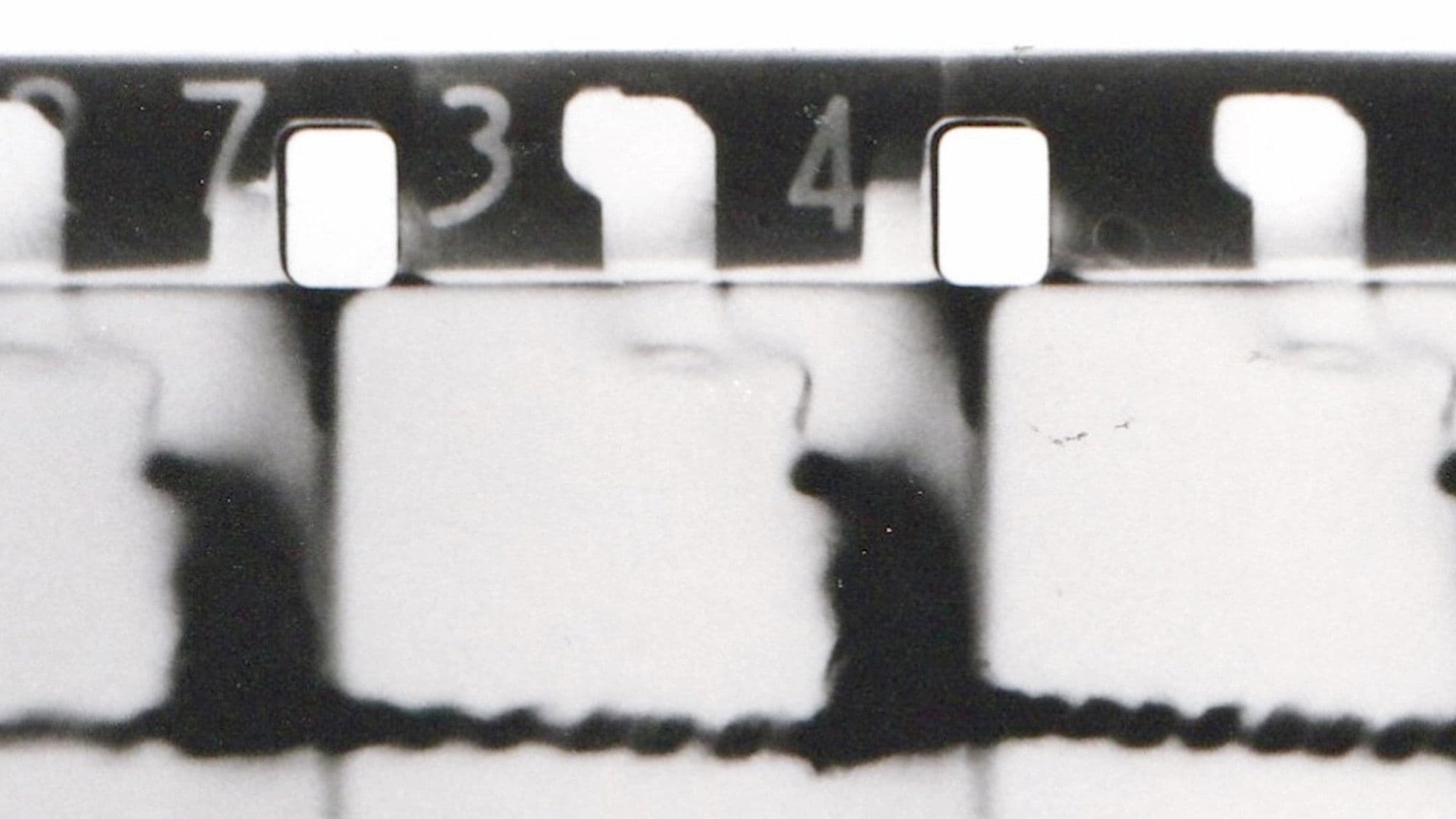 셀룰로이드 페티쉬