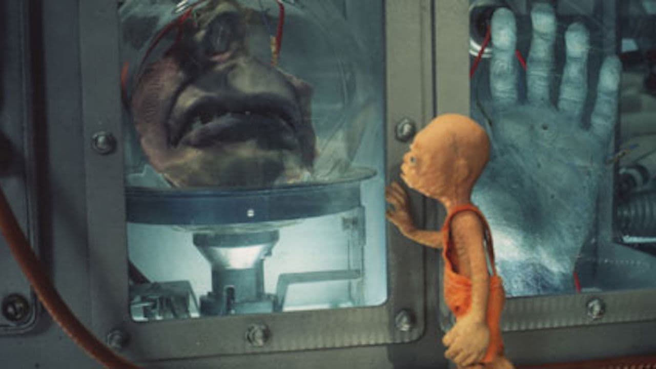 톰썸의 비밀 모험