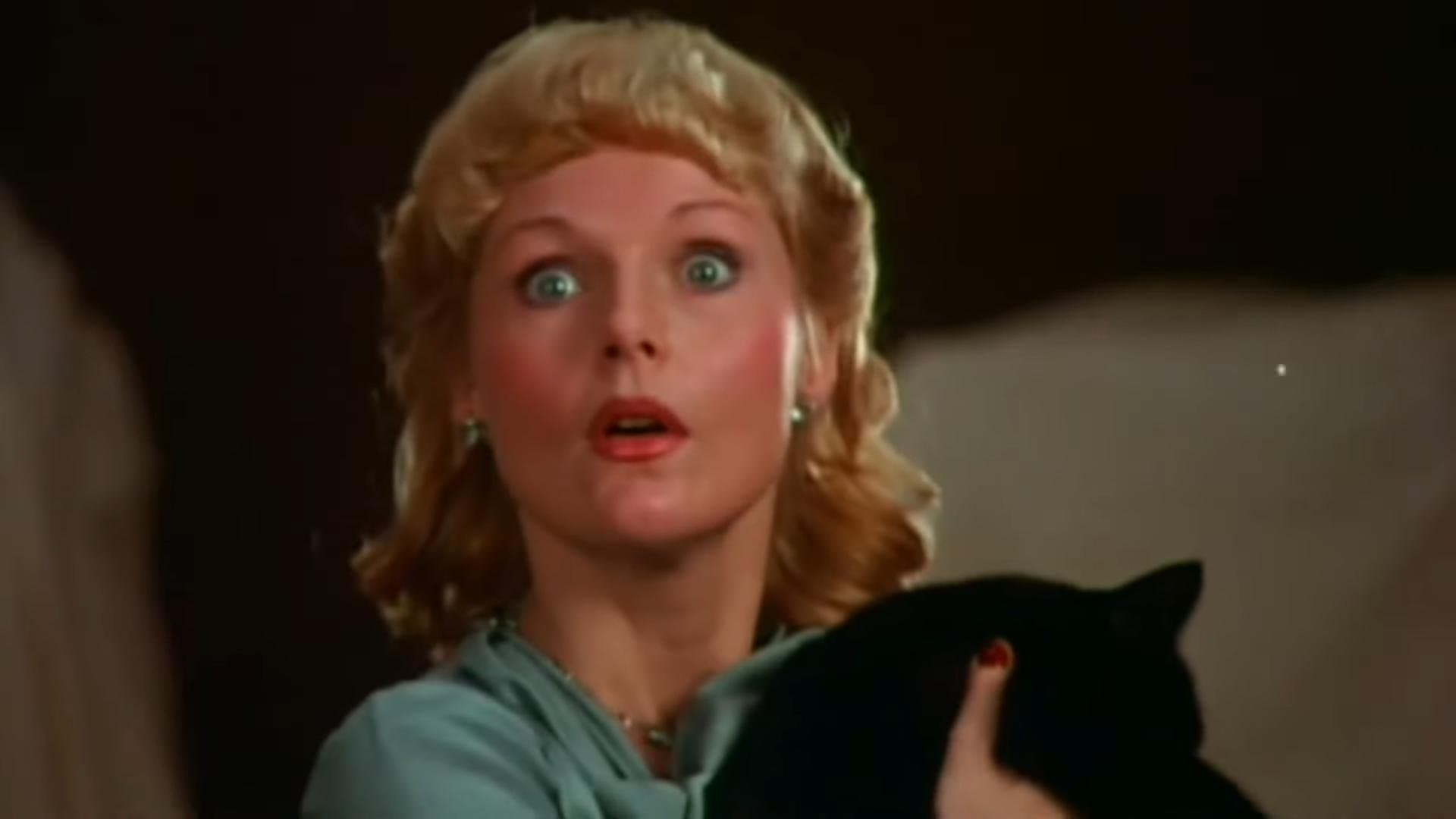 고양이와 카나리아