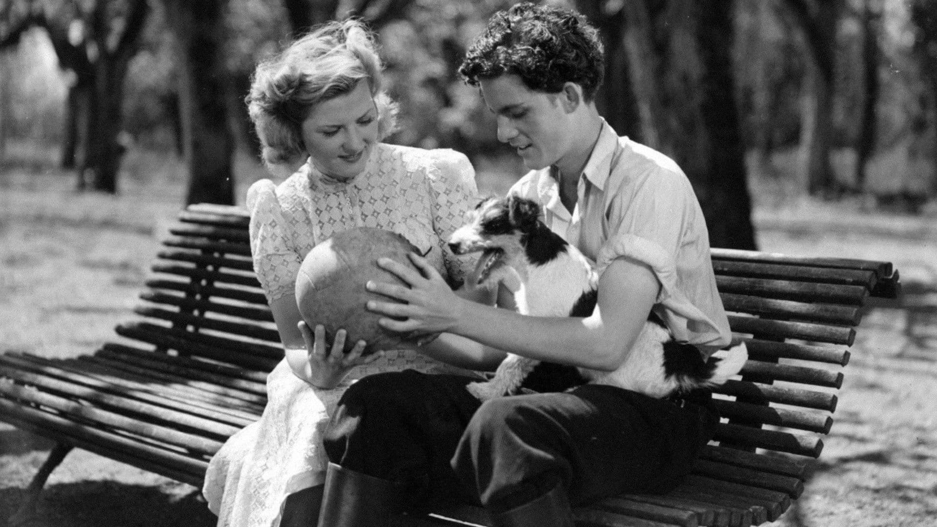 Hans Nåds testamente