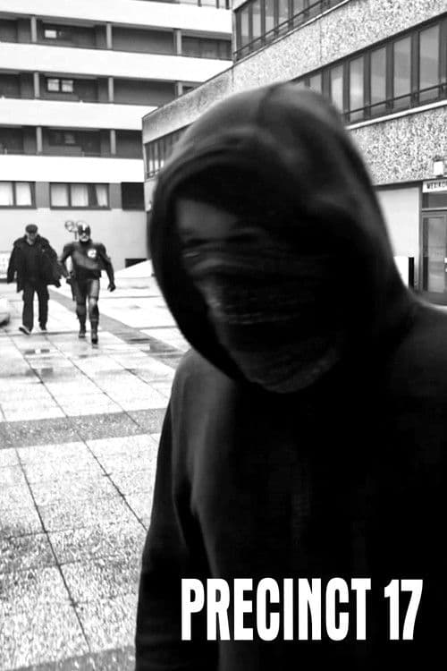 Precinct 17