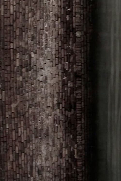 Las palomitas blancas