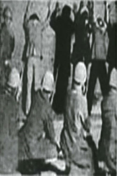 شجاعان ايستاده میميرند