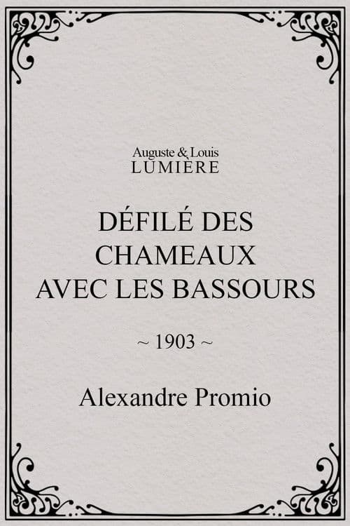 Défilé des chameaux avec les Bassours