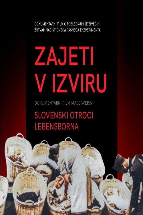 Zajeti v izviru - Slovenski otroci Lebensborna