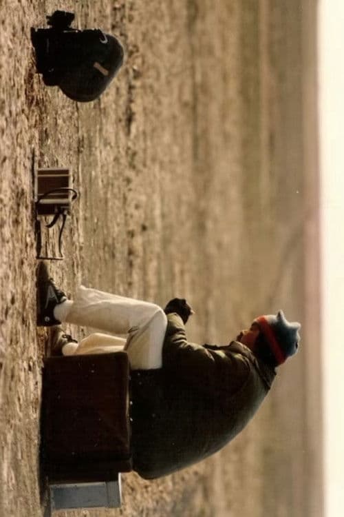 另一邊的風景:香港電影攝影師黃仲標