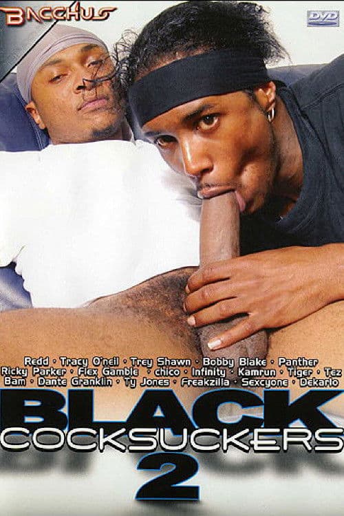 Black Cocksuckers 2
