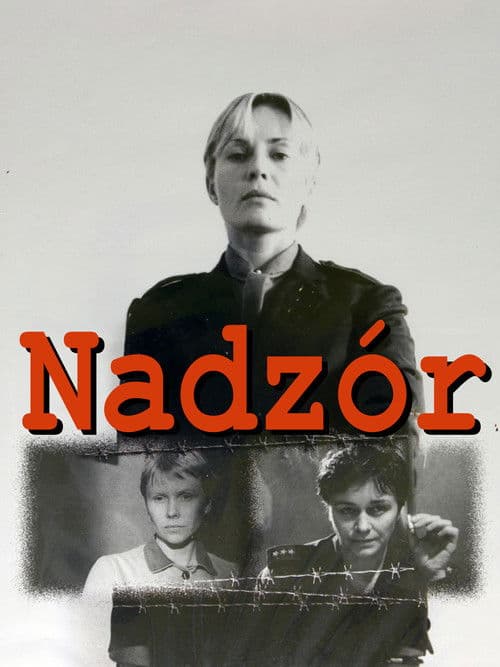 Nadzór
