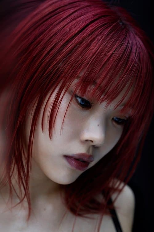 아이나 디 엔드